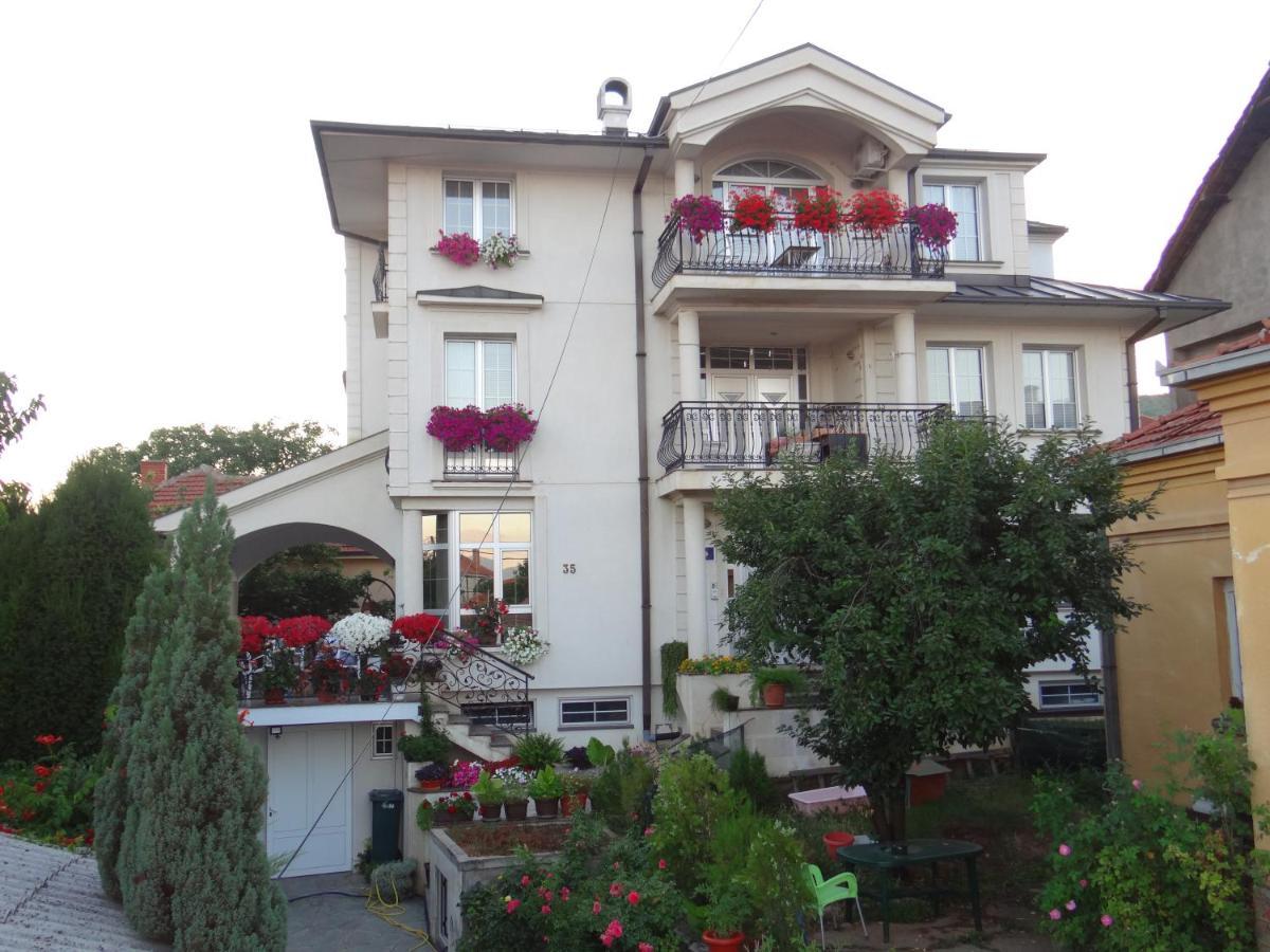 Vila Sentic Vranje Exterior photo