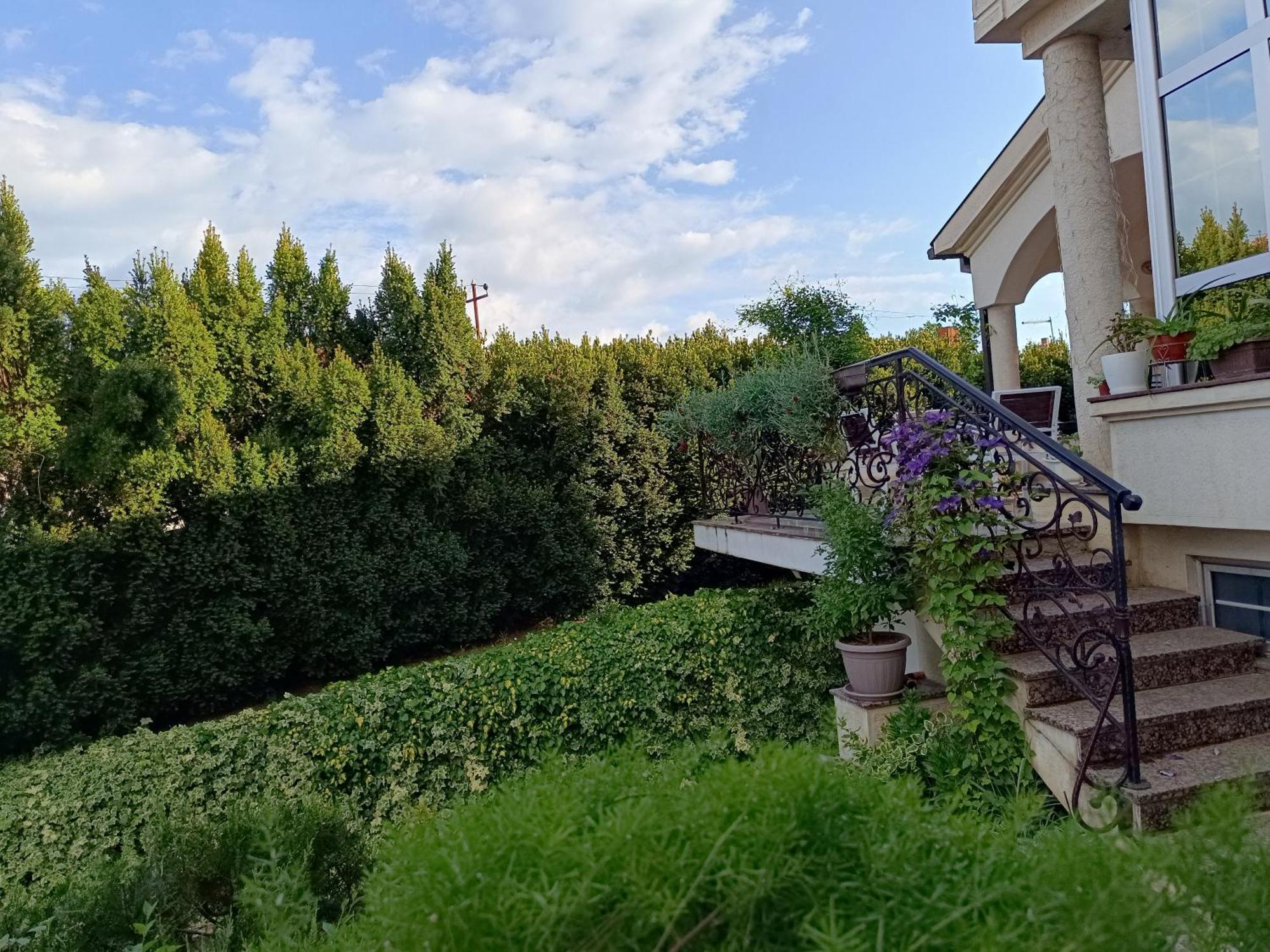 Vila Sentic Vranje Exterior photo